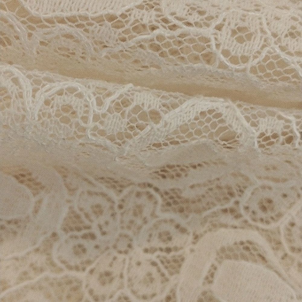 NWT Max Studio Lace Shift Dress - Picture 12 of 13